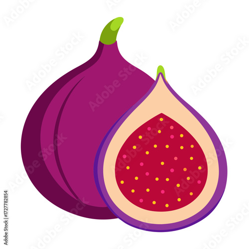 vector illustration of a fig