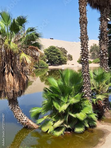 Wallpaper Mural Oasis in the desert near laguna de Huacachina, Ica in Peru Torontodigital.ca