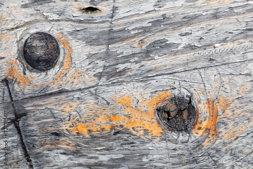 Wallpaper Mural pattern of old dried wood in detail Torontodigital.ca