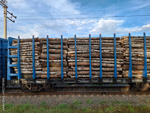 фотографія A freight train carries timber. Transporting tree trunks