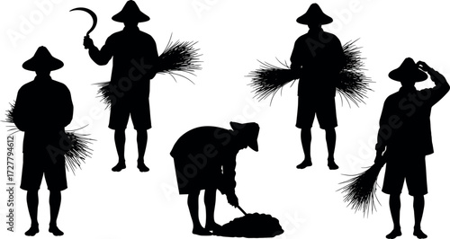 Silhouettes of Asian farmers harvesting crops in rural field wearing conical hats, traditional agriculture scene, manual labor vector illustration