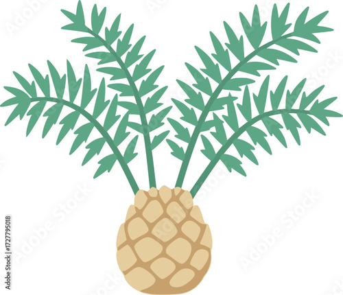 Encephalartos horridus Illustration – Rare Blue Cycad Vector