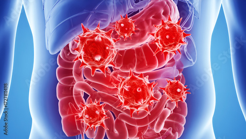 Red spiky viruses infecting internal organs infection