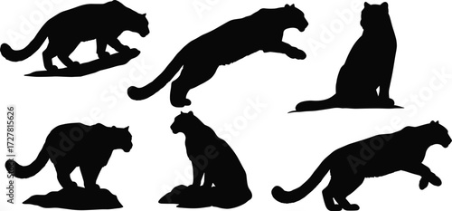 Black panther silhouette vector, wild animal poses, big cat illustration, walking, leaping, sitting, crouching, standing, wildlife design, cad drawing flat vector illustration