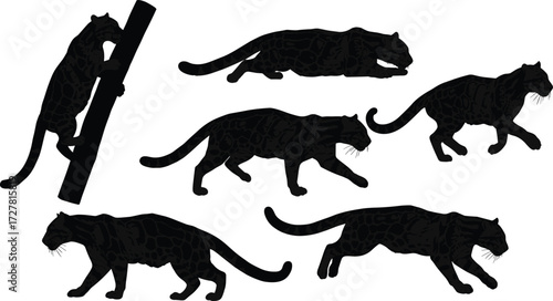 Black panther silhouette vector, big cat poses, wild animal illustration, climbing, crouching, walking, leaping, feline movement, predator design, cad drawing flat vector illustration