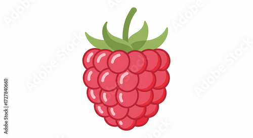 raspberry isolated on white