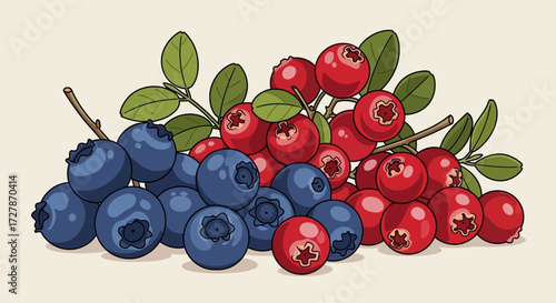 An illustration of fresh, ripe blueberries and red cranberries piled together with green leaves.