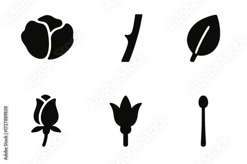 Rose Anatomy Icons. Solid, filled icon set of rose parts: petals, thorn, stem, leaf, bud, calyx, pistil, stamen. Solid, filled icons in only black color. All