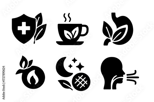 Herbal Health Icons. Solid, filled icon set of herbal health benefits: immunity, relaxation, detox, digestion, anti-inflammatory, sleep aid, skin healing,