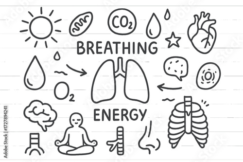 Lungs and Energy Icons. Hand-drawn doodle illustration Breathing and energy lungs, arrows, mitochondria, oxygen molecule, CO2 bubble, heart, droplet, star,