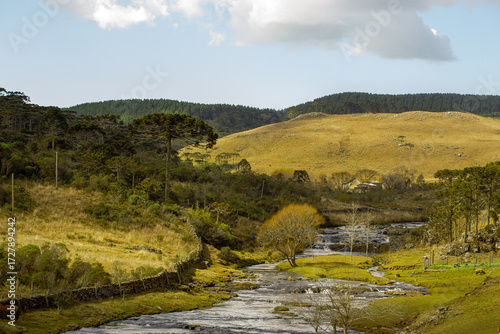 Obraz na płótnie Cenário bucólico com rio, cavalo e araucárias na paisagem rural da serra catarin