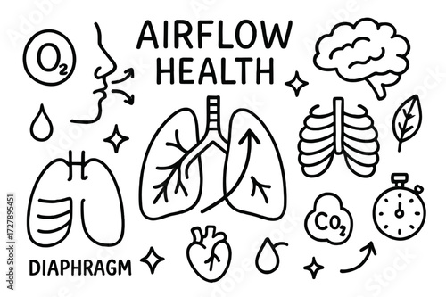 Respiratory System Doodle. Hand-drawn doodle illustration Airflow and health lungs, nose, trachea, arrows, diaphragm, heart, oxygen molecule, CO2 bubble, star,
