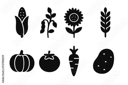 Agricultural Crop Icons. Solid, filled icon set of agricultural crops: corn stalk, bean plant, sunflower, wheat, pumpkin, tomato, carrot, potato. [Line icons