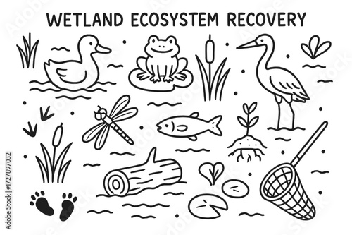 Wetland Ecosystem Icons. Hand-drawn doodle illustration [Wetland ecosystem recovery] [duck, reeds, frog, water, cattail, fish, mud, dragonfly, log, crane,