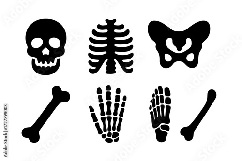 Human Bone Icons. Solid, filled icon set of human bones: skull, ribcage, spine, pelvis, femur, hand bones, foot bones, clavicle. Solid, filled icons in only