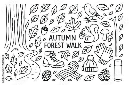 Autumn Forest Doodle. Hand-drawn doodle illustration [Autumn Forest Walk] [leaves, tree trunk, forest path, hiker boots, squirrel, bird, mushrooms, pinecone,
