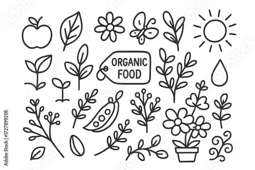 Organic Doodle Icons. Hand-drawn doodle illustration Organic food package design [fruit, leaf, flower, seed pod, herbal branch, sprout, eco tag, butterfly,