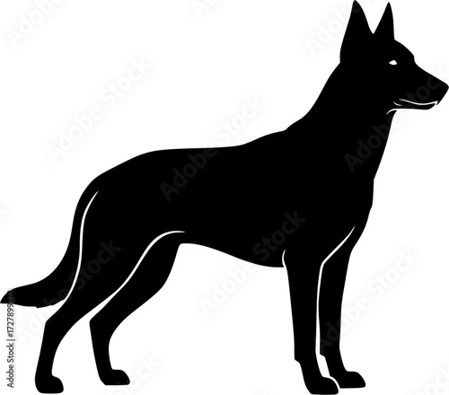 Belgian malinois silhouette, Belgian malinois dog silhouettes, Dog silhouettes, Dog icon, Belgian malinois clipart, Dog vector illustration.