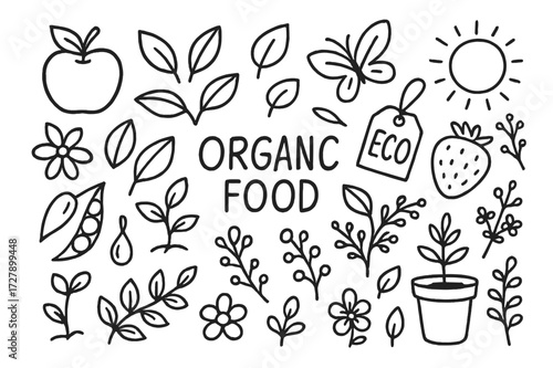 Organic Doodle Icons. Hand-drawn doodle illustration Organic food package design [fruit, leaf, flower, seed pod, herbal branch, sprout, eco tag, butterfly,