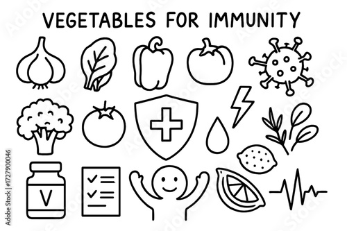 Immunity Boosting Vegetables. Hand-drawn doodle illustration Vegetables for Immunity garlic, spinach, bell pepper, tomato, broccoli, shield icon, virus symbol,
