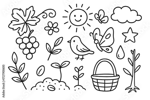 Nature's Harmony Doodles. Hand-drawn doodle illustration Vine and nature harmony vine leaf, grape cluster, tendril, flower, butterfly, bird, sun, star, cloud,