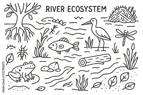 River Ecosystem Doodles. Hand-drawn doodle illustration [river ecosystem] [fish, algae, tree roots, water insect, river rock, leaf, sediment, frog, current
