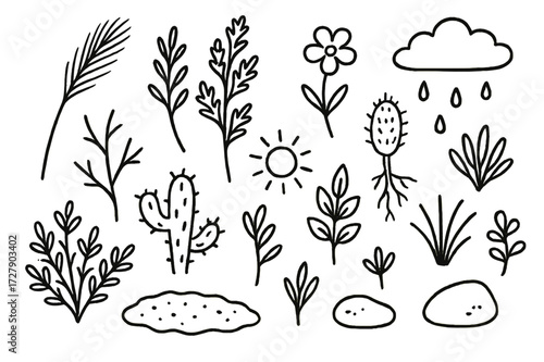 Steppe Plants Doodles. Hand-drawn doodle illustration steppe plants feather grass, sagebrush, wildflower, seed head, roots, dry twig, cactus, bush, leaves,