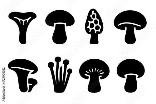 Edible Mushroom Icons. Solid, filled icon set of edible mushrooms: chanterelle, porcini, morel, shiitake, oyster mushroom, enoki, portobello, cremini. Solid,