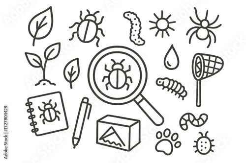 Pest Monitoring Doodle. Hand-drawn doodle illustration monitoring pests magnifying glass, insect, beetle, caterpillar, leaf, plant, notebook, pen, trap, net,