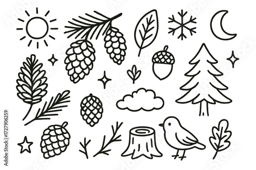 Pine Cones Doodle. Hand-drawn doodle illustration Pine Cones [pine cone, branch, needles, leaf, star, sparkles, tree, stump, acorn, twig, cloud, sun,