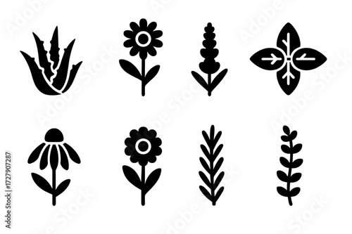 Herbal Icon Grid. Solid, filled icon set of healing herbs: aloe vera, chamomile, lavender, peppermint, echinacea, calendula, rosemary, thyme. Solid, filled