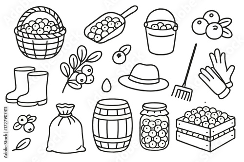Cranberry Harvest Doodles. Hand-drawn doodle illustration Cranberry harvest basket, scoop, bucket, berries, branch, leaf, rake, boots, hat, gloves, sack,