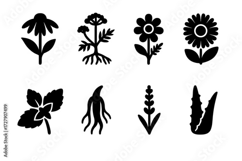 Medicinal Plants Icons. Solid, filled icon set of medicinal plants: echinacea flower, valerian root, chamomile flower, calendula blossom, mint leaves, ginseng
