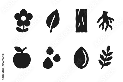 Aroma Source Icons. Solid, filled icon set of aroma natural sources: flower, leaf, bark, root, fruit, resin, seed, herb. Solid, filled icons in only black