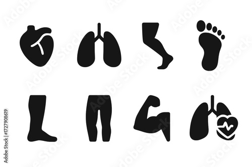 Cardio Body Icons. Solid, filled icon set of cardio body parts: heart, lungs, legs, feet, calves, thighs, arms, lungs with heartbeat. [Line icons in only black