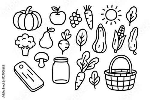 Seasonal Harvest Doodles. Hand-drawn doodle illustration seasonal plant foods pumpkin, apple, pear, grapes, carrot, broccoli, mushroom, radish, spinach leaf,
