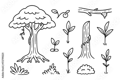 Rainforest Tree Doodle. Hand-drawn doodle illustration Rainforest Trees canopy tree, layered leaves, rainforest trunk, roots, bark texture, climbing vine, moss
