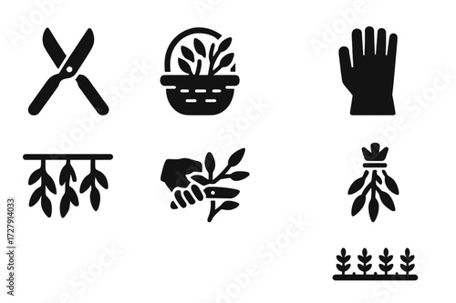 Eucalyptus Harvest Icons. Solid, filled icon set of eucalyptus harvesting: scissors, basket, gloves, bundle, drying rack, pruning, cutting, field. Solid,