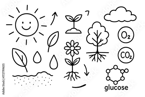 Photosynthesis Doodle Art. Hand-drawn doodle illustration Sunlight and plants sun, rays, leaf, sprout, tree, flower, root, stem, soil, water droplet, arrow,