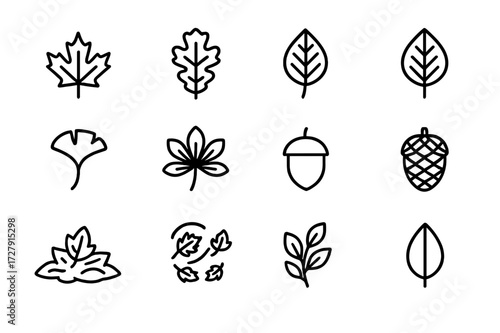 Fall Nature Icon Set. Nature in fall. Line icon set of nature in fall: maple leaf, oak leaf, birch leaf, elm leaf, ginkgo leaf, chestnut leaf, acorn, pine
