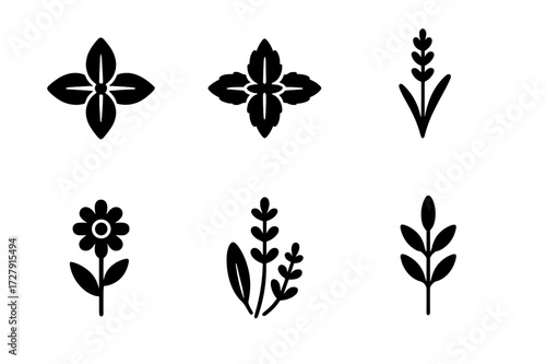 Herbal Plant Icons. Solid, filled icon set of herbal plants: basil, mint, rosemary, thyme, lavender, chamomile, sage, eucalyptus. Solid, filled icons in only