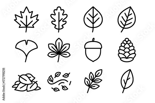 Fall Leaves Icon Set. Fall leaves. Line icon set of fall leaves: maple leaf, oak leaf, birch leaf, elm leaf, ginkgo leaf, chestnut leaf, acorn, pine cone,