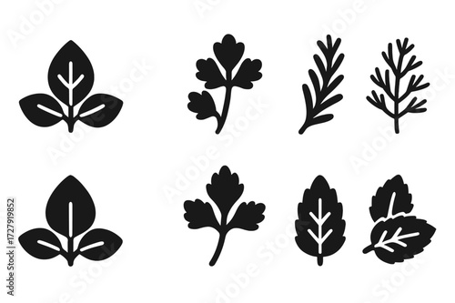 Herb Icon Grid. Solid, filled icon set of seasoning herbs: basil leaf, parsley sprig, rosemary twig, thyme branch, oregano leaf, dill frond, cilantro leaf,