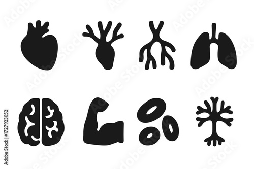 Anatomy Icons Grid. Solid, filled icon set of heartbeat body parts: heart, arteries, veins, lungs, brain, muscles, blood cells, nerves. Solid, filled icons in