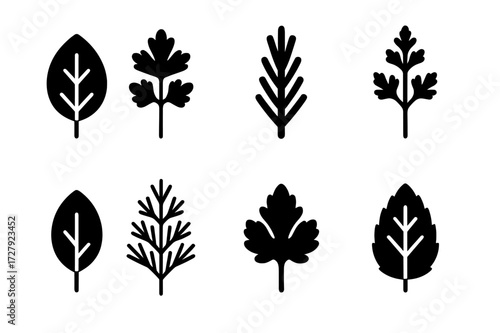 Herb Icon Grid. Solid, filled icon set of seasoning herbs: basil leaf, parsley sprig, rosemary twig, thyme branch, oregano leaf, dill frond, cilantro leaf,