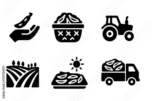 Bean Harvest Icons. Solid, filled icon set of bean pod harvesting: hand picking, basket full of pods, sack of beans, tractor, farm field, drying beans, sun