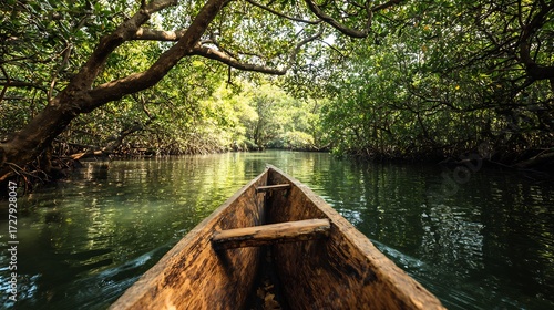 Rustic canoe gliding through mangrove forest river tunnel eco tourism stock image symbolizing exploration traditions cultural adventure