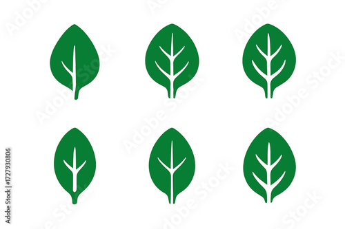 Spinach Leaf Logos. Low-carb diet. Set Logo of Spinach leaf: Spinach leaf. Stylized detail, Flat solid, Minimal outline, Abstract geometric, Symmetrical form,