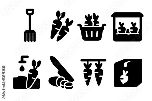 Root Harvest Icons. Solid, filled icon set of root crops harvest: digging fork, harvested roots, root basket, root storage, root washing, root slicing, root