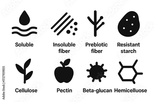 Dietary Fiber Icons. Solid, filled icon set of dietary fiber types: soluble fiber, insoluble fiber, prebiotic fiber, resistant starch, cellulose, pectin,
